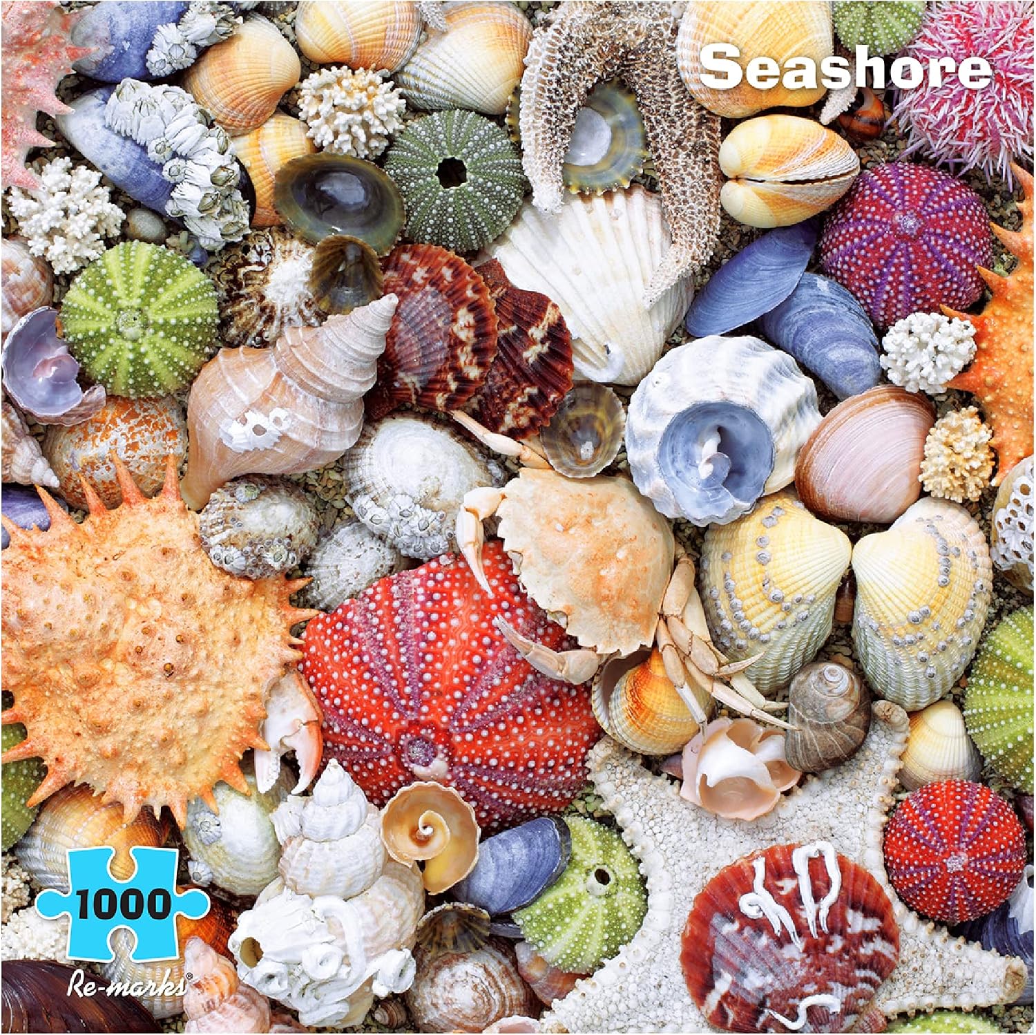 Re-marks Seashore Puzzle 1000-Piece Seashell Puzzle, Artistic Jigsaw Puzzle for All Ages - Made in USA