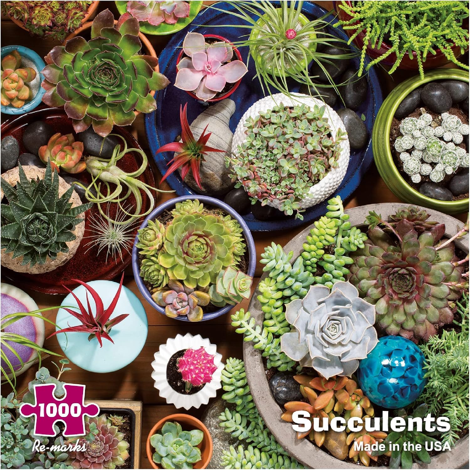 Re-marks Succulents 1000-Piece Puzzle, Artistic Jigsaw Puzzle for All Ages