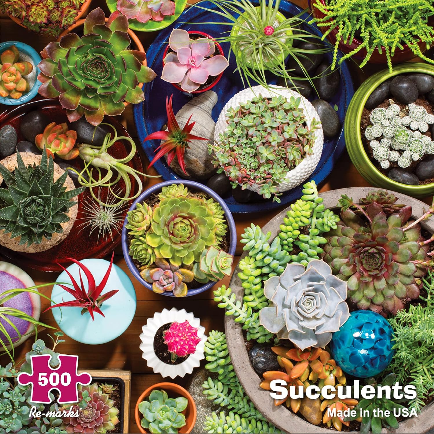 Re-marks Succulents 500-Piece Puzzle with Large Puzzle Pieces for All Ages